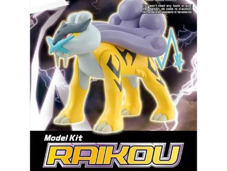 Pokémon Raikou Discount