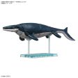 Plannosaurus Mosasaurus Model Kit Supply