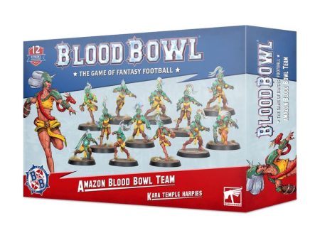 Amazon Blood Bowl Team - The Kara Temple Harpies For Cheap