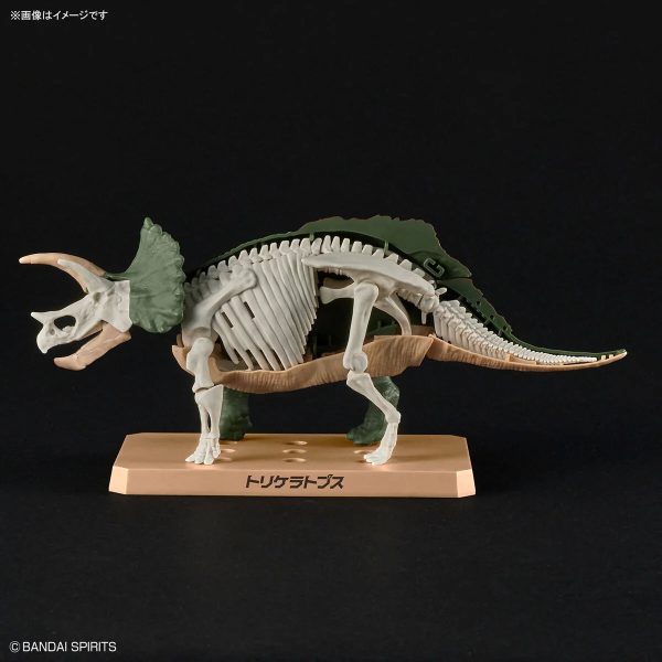 Plannosaurus Triceratops Model Kit Hot on Sale