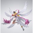 【Preorder in Apr】S.H.Figuarts ANGEWOMON For Cheap