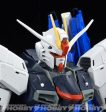 MG 1 100 ZGMF-X10A Freedom Gundam Ver2.0 Cheap