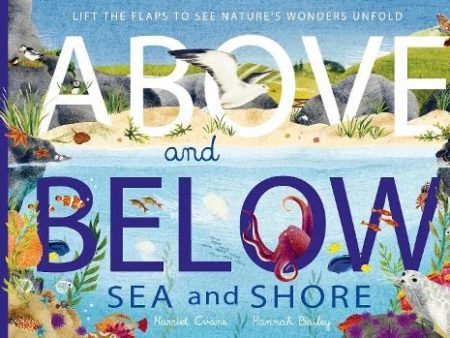 Above and Below: Sea and Shore : Lift the flaps to see nature s wonders unfold Sale